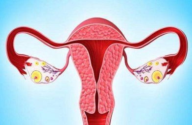 吉林格鲁吉亚ReproArt诊所专家解释取卵后卵巢该如何保养？