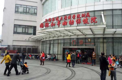 吉林上海做试管助孕，上海国妇婴试管婴儿成功率和费用是怎样？